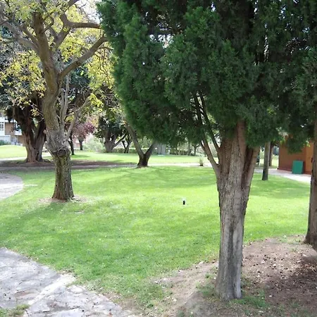 Sol Y Playa Appartamento